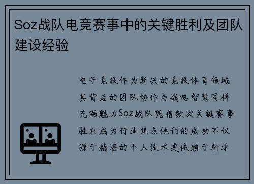 Soz战队电竞赛事中的关键胜利及团队建设经验