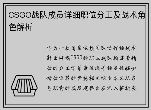 CSGO战队成员详细职位分工及战术角色解析